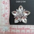 CKB12194
