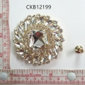 CKB12199