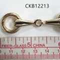 CKB12213