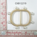 CKB12219