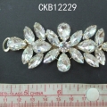CKB12229