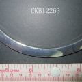 CKB12263