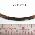 CKB12269