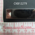 CKB12279
