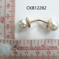 CKB12282