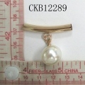 CKB12289
