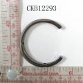 CKB12293