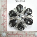 CKB12296