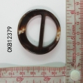 CKB12379