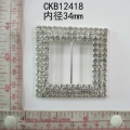 CKB12418