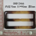 CKB12466