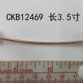 CKB12469