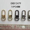 CKB12479