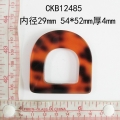 CKB12485