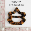 CKB12489