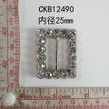 CKB12490