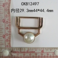 CKB12497
