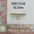 CKB12528