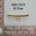 CKB12529