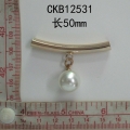 CKB12531
