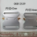CKB12539