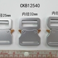 CKB12540