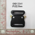 CKB12541