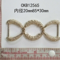 CKB12565