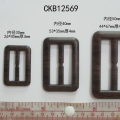 CKB12569