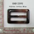 CKB12595