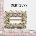 CKB12599