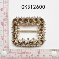 CKB12600