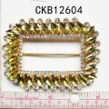 CKB12604