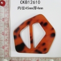 CKB12610