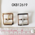 CKB12619