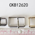 CKB12620