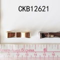 CKB12621