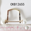 CKB12655