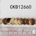 CKB12660