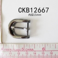 CKB12667