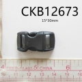 CKB12673