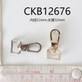 CKB12676