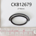 CKB12677