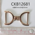 CKB12681