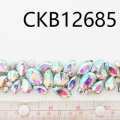 CKB12685