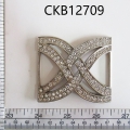 CKB12709