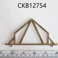 CKB12754
