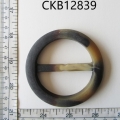 CKB12839