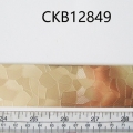 CKB12849