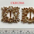 CKB12866